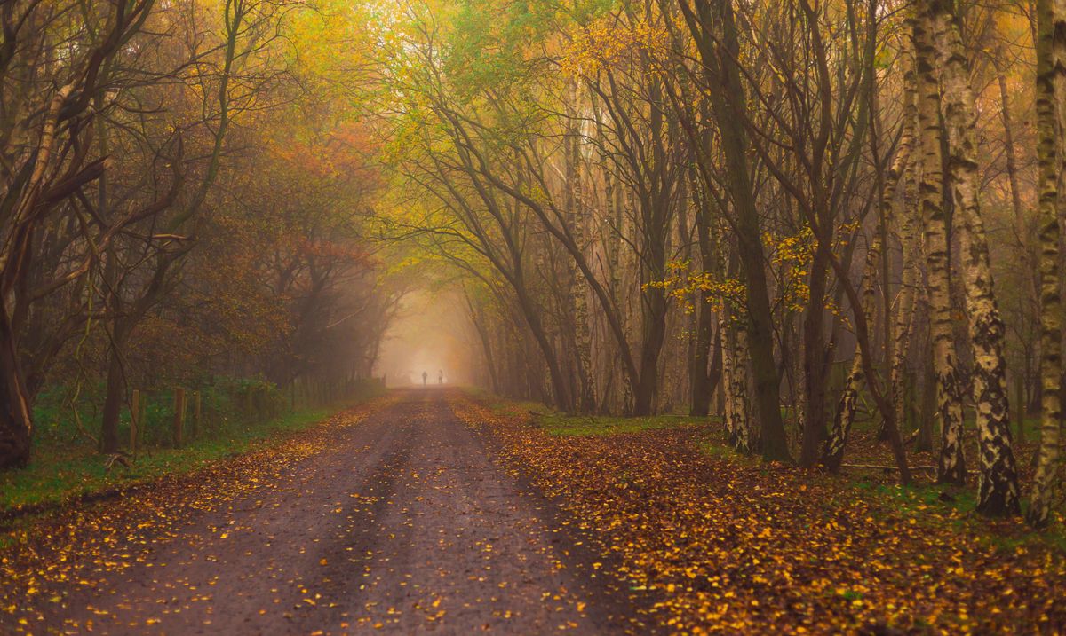 Navigating the UK Weather: A Guide for Newcomers
