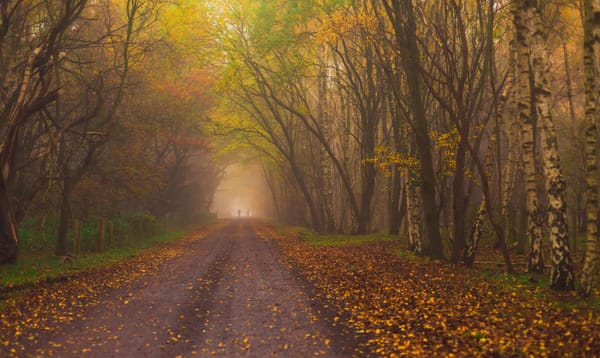 Navigating the UK Weather: A Guide for Newcomers